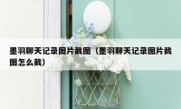 墨羽聊天记录图片截图（墨羽聊天记录图片截图怎么截）