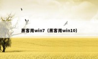 黑客用win7（黑客用win10）