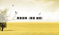 黑客搞事（黑客 被抓）