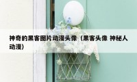 神奇的黑客图片动漫头像（黑客头像 神秘人动漫）