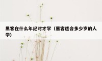 黑客在什么年纪时才学(黑客适合多少岁的人学)