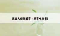 黑客入侵蚊香客（黑客电蚊香）
