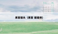 黑客猪头(黑客 猪猪侠)
