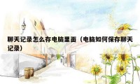 聊天记录怎么存电脑里面(电脑如何保存聊天记录)