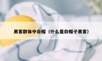 黑客群体中白帽（什么是白帽子黑客）