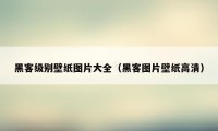 黑客级别壁纸图片大全（黑客图片壁纸高清）