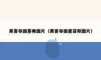 黑客帝国塞弗图片(黑客帝国墨菲斯图片)