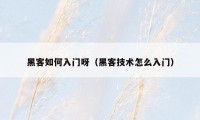 黑客如何入门呀（黑客技术怎么入门）