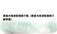 黑客大哥求职视频下载(黑客大哥求职视频下载苹果)