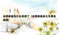 谷歌邮箱为什么停用了(谷歌邮箱多久不用会收回)