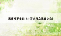 黑客斗罗小说（斗罗大陆之黑客少女）