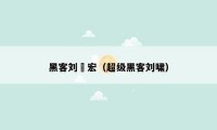黑客刘畊宏（超级黑客刘啸）