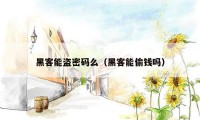 黑客能盗密码么（黑客能偷钱吗）