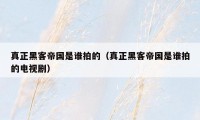 真正黑客帝国是谁拍的(真正黑客帝国是谁拍的电视剧)