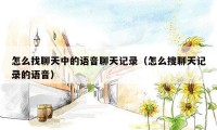 怎么找聊天中的语音聊天记录（怎么搜聊天记录的语音）