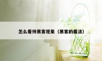 怎么看待黑客现象(黑客的看法)