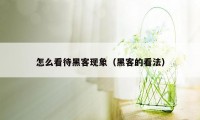 怎么看待黑客现象（黑客的看法）