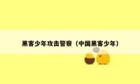 黑客少年攻击警察（中国黑客少年）