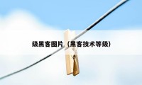 级黑客图片（黑客技术等级）