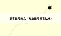 黑客盗号改文(专业盗号黑客贴吧)