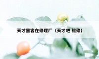 天才黑客在修理厂（天才吧 维修）