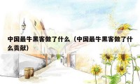 中国最牛黑客做了什么（中国最牛黑客做了什么贡献）