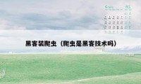 黑客装爬虫(爬虫是黑客技术吗)