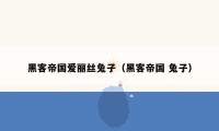 黑客帝国爱丽丝兔子（黑客帝国 兔子）