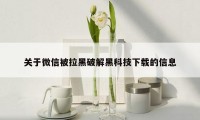 关于微信被拉黑破解黑科技下载的信息