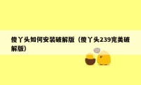 傻丫头如何安装破解版（傻丫头239完美破解版）