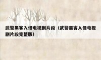 武警黑客入侵电视剧片段（武警黑客入侵电视剧片段完整版）