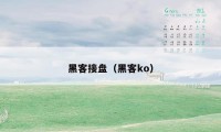 黑客接盘（黑客ko）