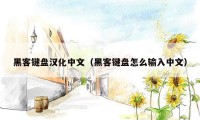 黑客键盘汉化中文（黑客键盘怎么输入中文）