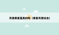 天使黑客是真的吗(黑客天使议会)