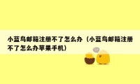 小蓝鸟邮箱注册不了怎么办（小蓝鸟邮箱注册不了怎么办苹果手机）