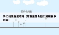 冷门的黑客是谁呀（黑客是什么他们到底有多厉害）
