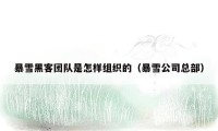 暴雪黑客团队是怎样组织的（暴雪公司总部）