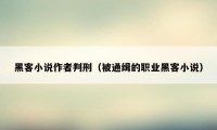黑客小说作者判刑（被通缉的职业黑客小说）