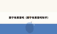 西宁有黑客吗（西宁有黑客吗知乎）
