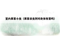 室内黑客小虫(黑客杀虫剂对身体有害吗)