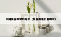 中国黑客类型的电影（黑客类电影有哪些）