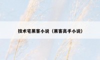技术宅黑客小说(黑客高手小说)