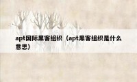 apt国际黑客组织（apt黑客组织是什么意思）