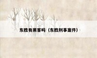 东胜有黑客吗（东胜刑事案件）