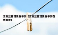 王祖蓝重现黑客帝国（王祖蓝重现黑客帝国在线观看）