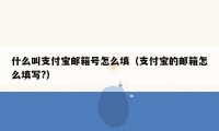 什么叫支付宝邮箱号怎么填（支付宝的邮箱怎么填写?）