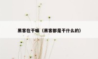 黑客在干嘛(黑客都是干什么的)