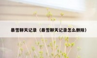 暴雪聊天记录（暴雪聊天记录怎么删除）
