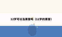 12岁可以当黑客吗（12岁的黑客）