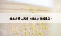 鲤鱼乡重生黑客（鲤鱼乡离婚重生）